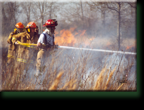 Grass Fire Richmond